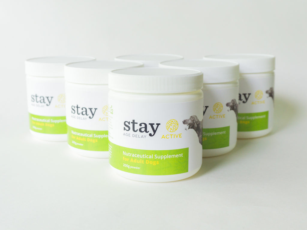 STAY Active ADULT - 180 Day Supply