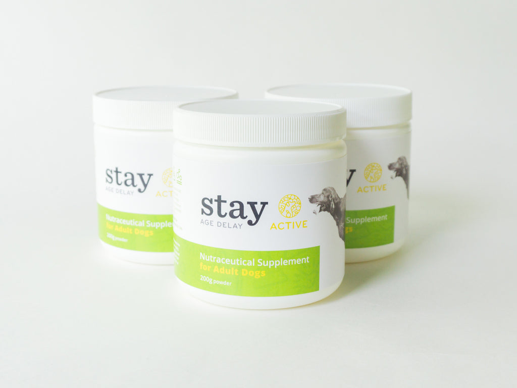 STAY Active ADULT - 90 Day Supply